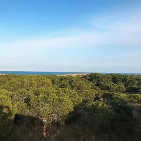 In La Mata Parquemar *