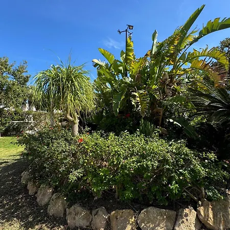 In La Mata Parquemar * Torrevieja