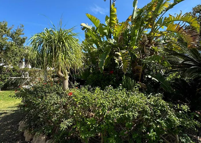 In La Mata Parquemar * Torrevieja