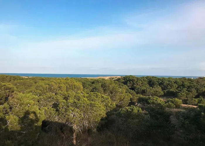 In La Mata Parquemar *